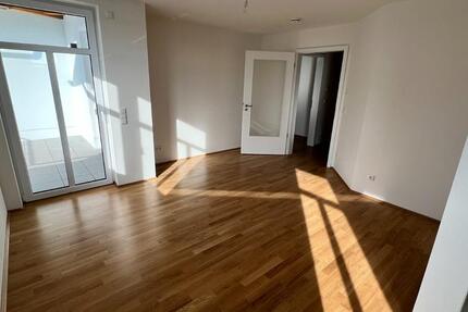 Sonnige 3 Zi Wohnung in DBR, Dammchaus.,TG, Aufzug, bezugsfertig 3 zimmer