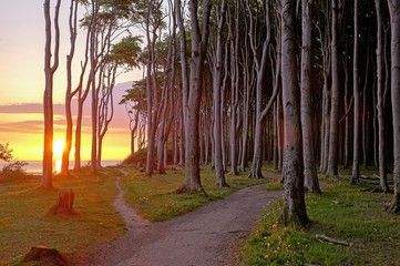 Etagenwohnung Nienhagen - 2 Zimmer, 51 m&sup2;, 259.000&euro; | Angebot:23252277