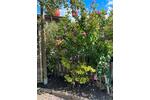 Grundstück Rostock Alt Bartelsdorf - 4.000&euro; | Angebot:26322868