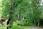 Ferienimmobilie Rostock - 950&euro; | Angebot:26532223