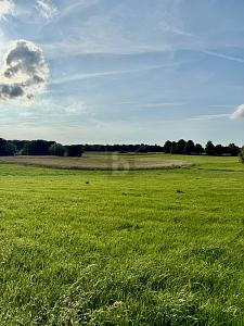 RUHE TRIFFT GRENZENLOSEN WEITBLICK - Grundstück Passee | Angebot:27252441