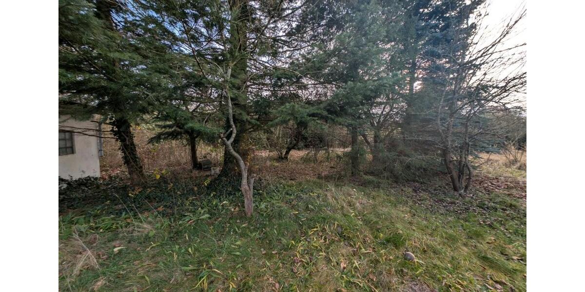 Grundstück Schwaan - 2.300&euro; | Angebot:24149260