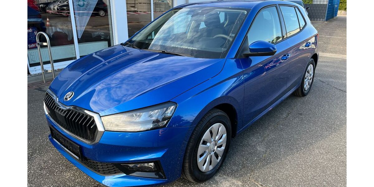 Skoda Fabia 6.060 km 16.990 &euro; Tessin 18195