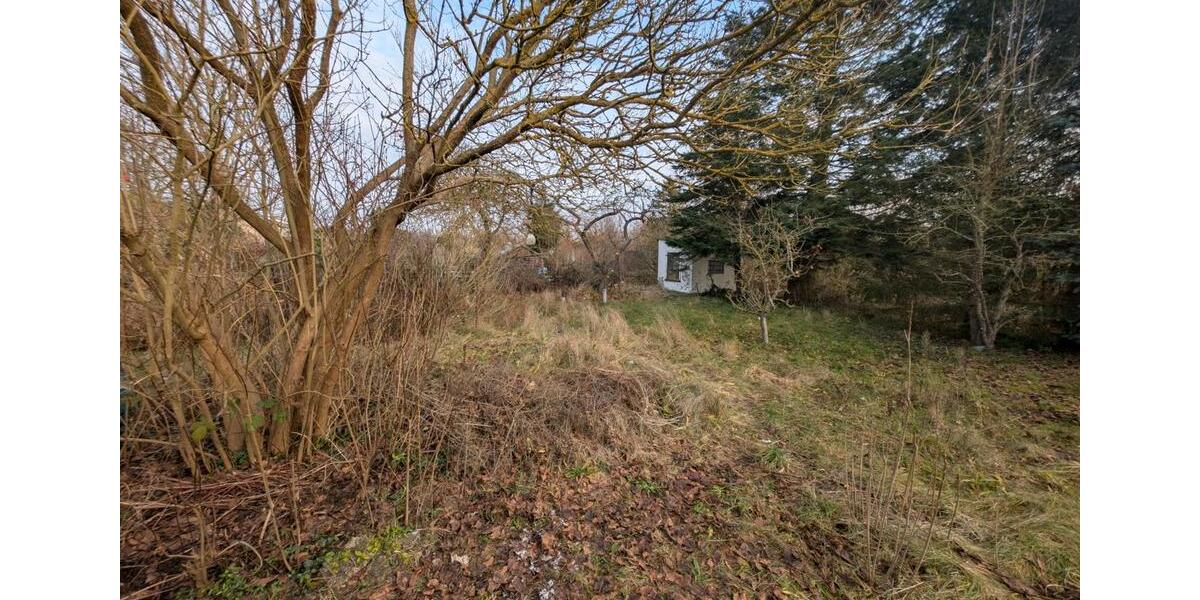 Grundstück Schwaan - 2.300&euro; | Angebot:24149260