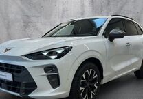 Gebrauchtwagen Cupra Terramar