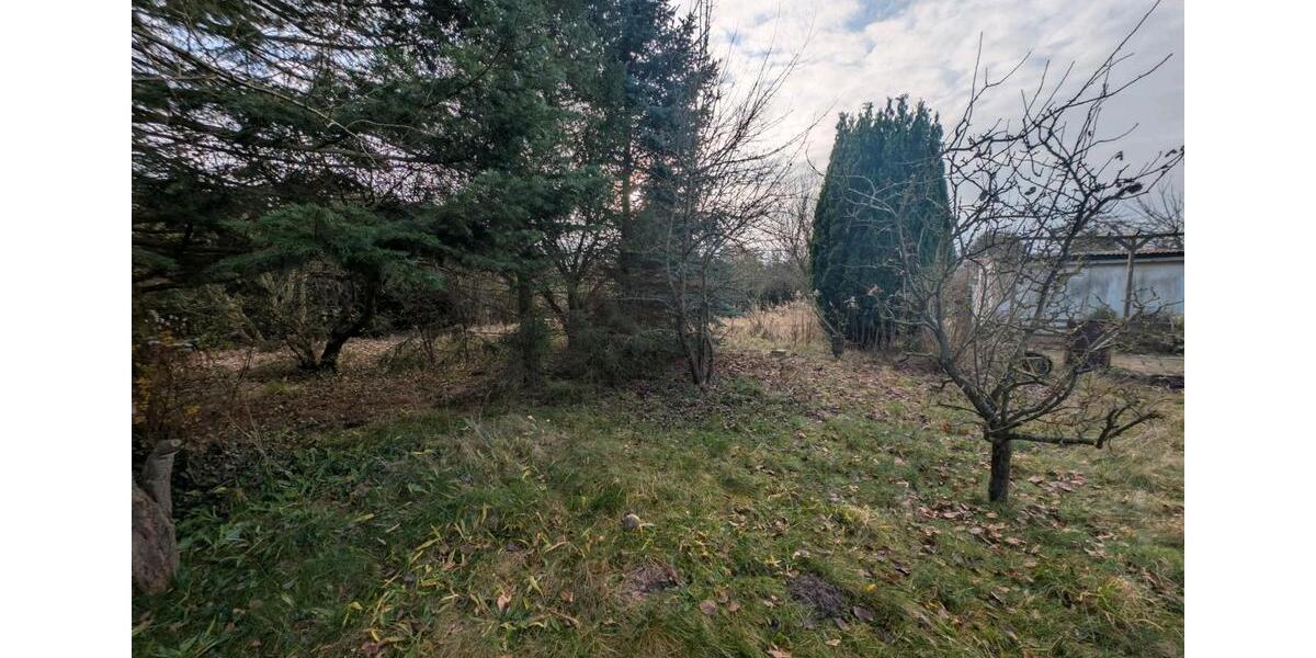 Grundstück Schwaan - 2.300&euro; | Angebot:24149260