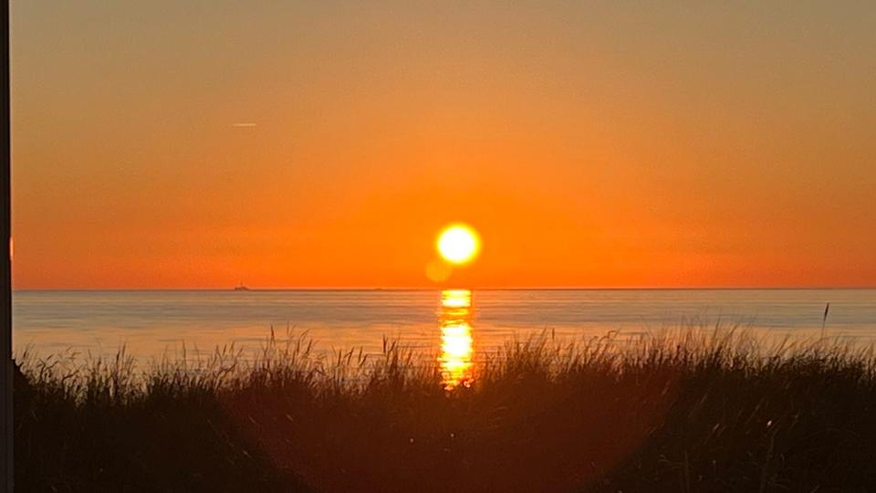 Ferienimmobilie Graal-Müritz Müritz - 75&euro; | Angebot:24250348