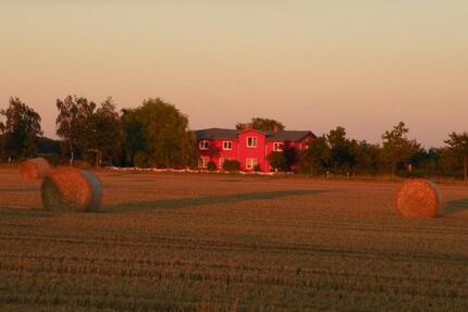 Ferienimmobilie Admannshagen-Bargeshagen Bargeshagen - 65&euro; | Angebot:23693507