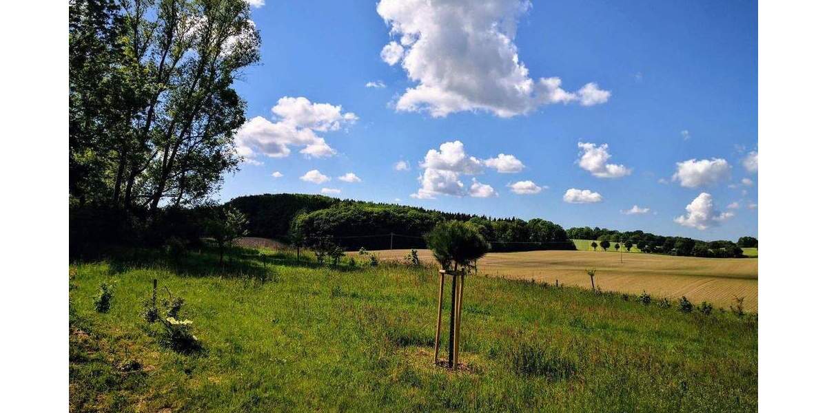 Grundstück Satow Miekenhagen - 295.000&euro; | Angebot:24858497