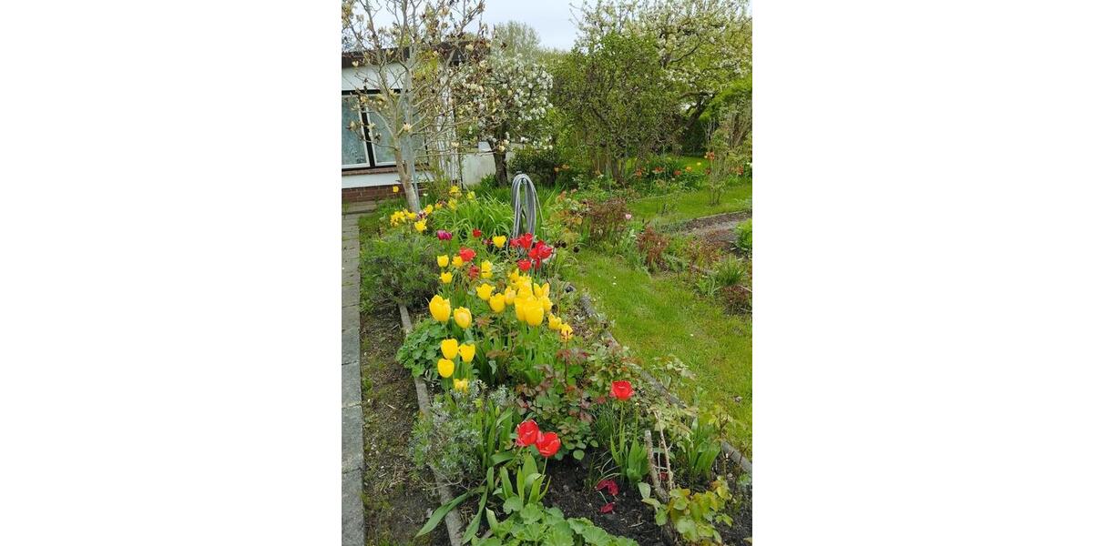 Grundstück Admannshagen-Bargeshagen Bargeshagen - 3.500&euro; | Angebot:26375029