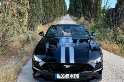 Ford Mustang 29.000 km 39.900 &euro; Hohen Schwarfs 18196