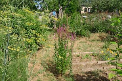Naturgarten an der Warnow zimmer