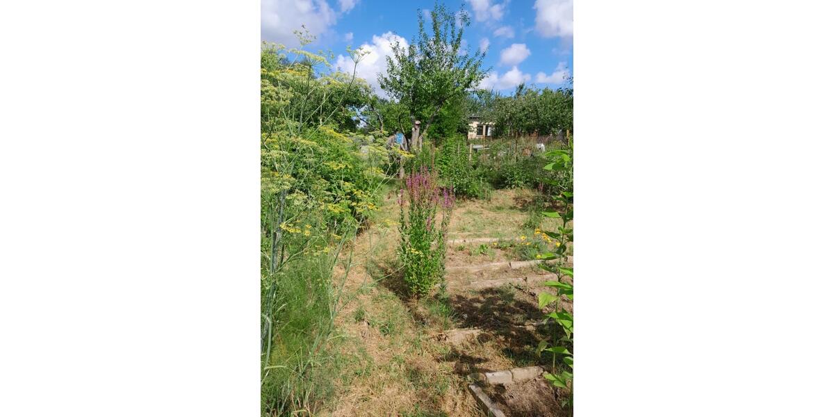 Naturgarten an der Warnow zimmer