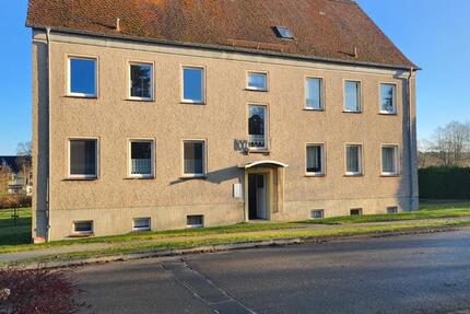 renovierte 3-Raum-Wohnung in Steinhagen Bützow mit Garage und Garten 3 zimmer