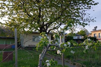 Grundstück Papendorf - 2.900&euro; | Angebot:25187290