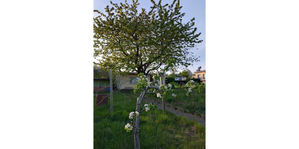 Grundstück Papendorf - 2.900&euro; | Angebot:25187290