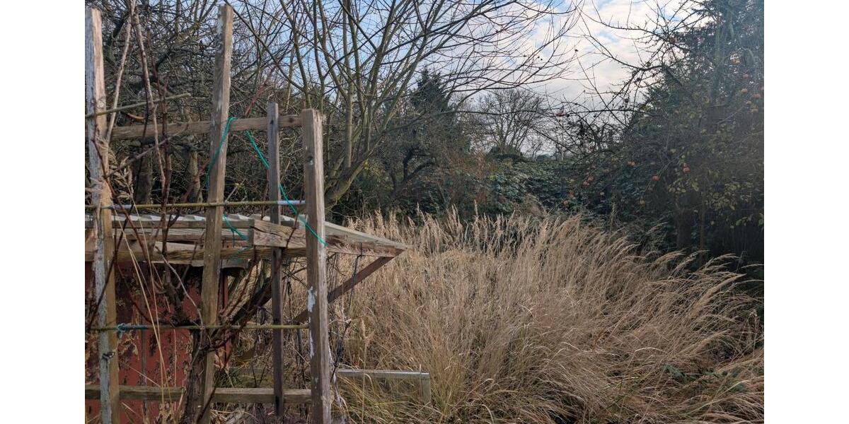 Grundstück Schwaan - 2.300&euro; | Angebot:24149260