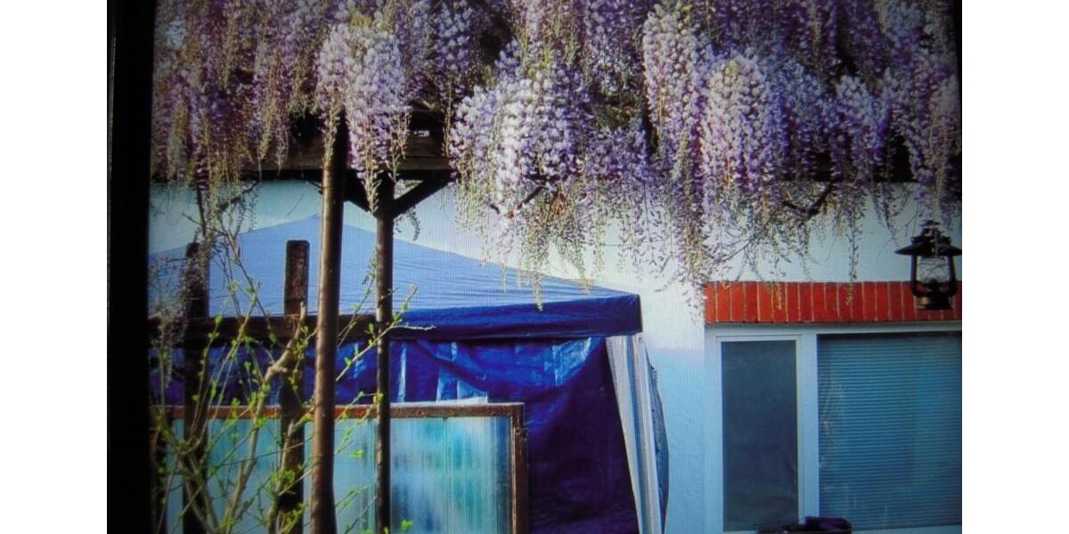 Grundstück Rostock Hansaviertel - 2.700&euro; | Angebot:25714564