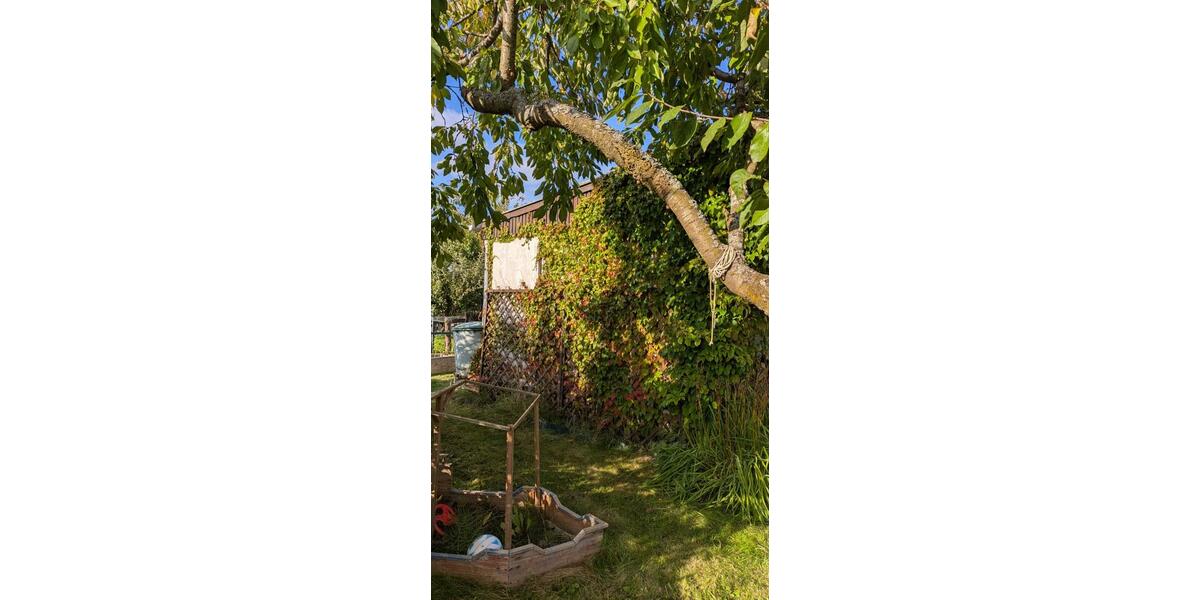 Grundstück Rostock Alt Bartelsdorf - 3.000&euro; | Angebot:25589112