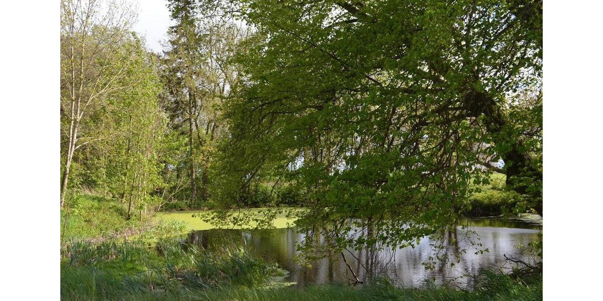 Grundstück Marlow - 399&euro; | Angebot:26549454