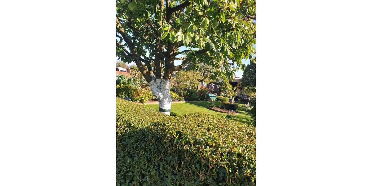 Grundstück Rostock Gehlsdorf - 2.000&euro; | Angebot:26566633