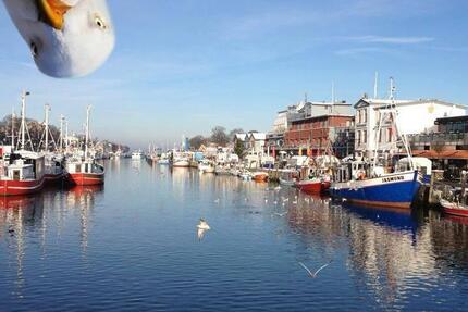 Wohnung Rostock Hohe Düne - 2 Zimmer, 55 m&sup2;, 900&euro; | Angebot:25976574