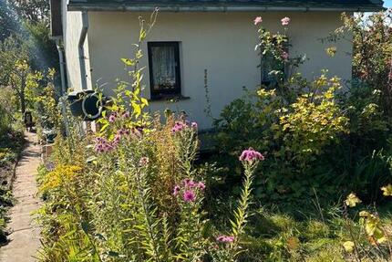 Haus Lambrechtshagen - 1 Zimmer, 24 m&sup2;, 10.000&euro; | Angebot:26976486