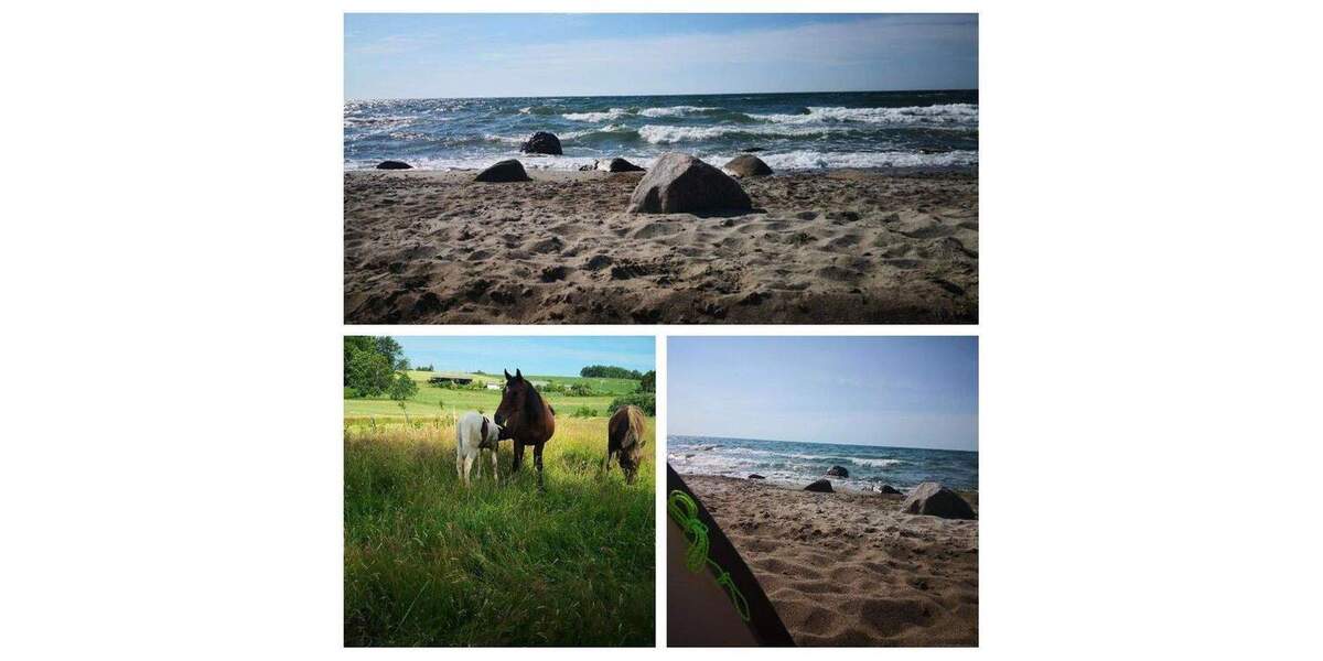 Grundstück Satow Miekenhagen - 320.000&euro; | Angebot:25716425