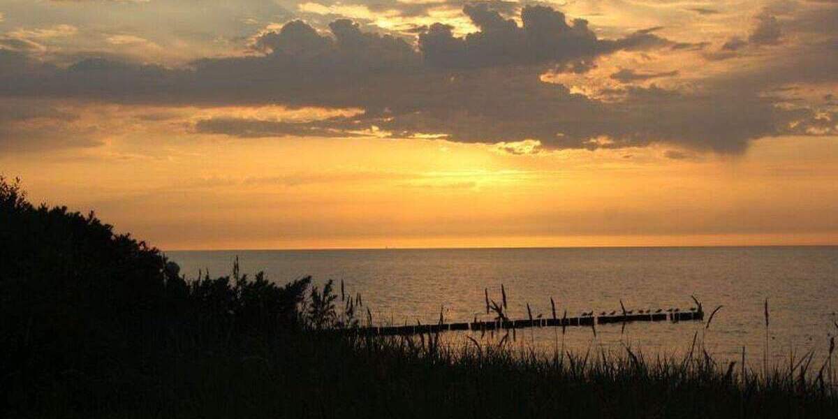 Gewerbeobjekt Börgerende-Rethwisch Börgerende - 9 Zimmer, 850.000&euro; | Angebot:26015226