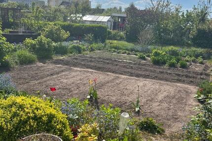 Grundstück Rostock Groß-Klein - 3.600&euro; | Angebot:25210862