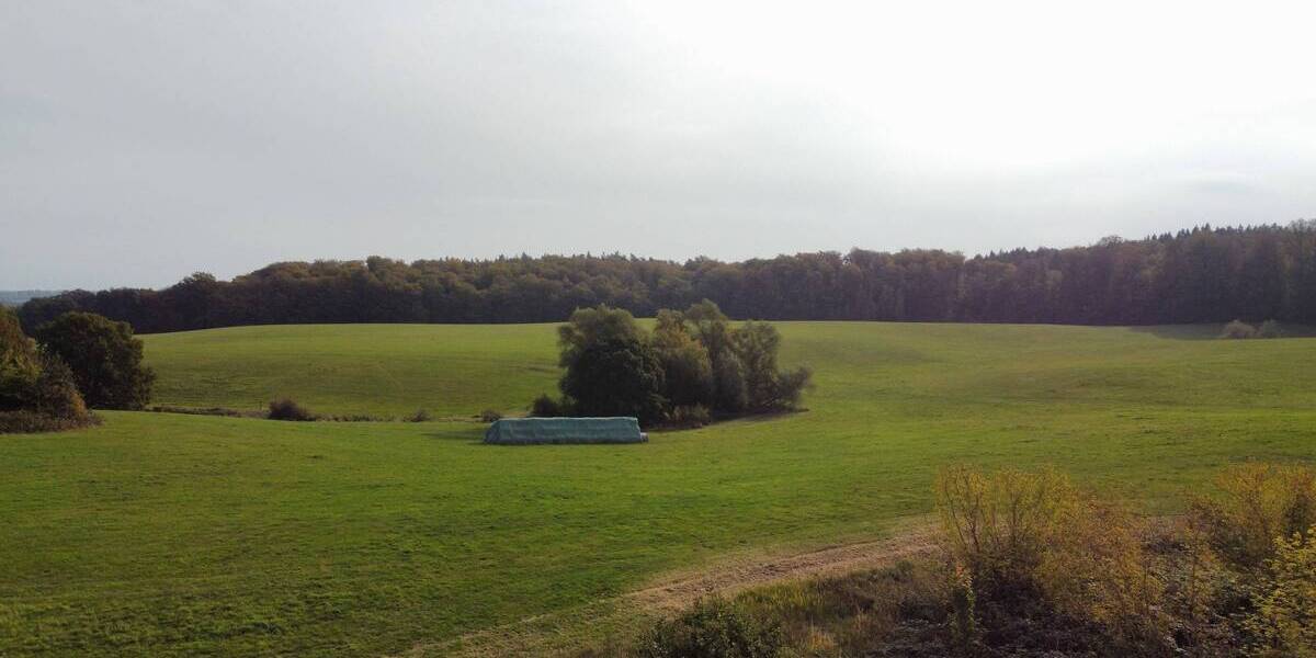 Grundstück Wittenbeck - 390.000&euro; | Angebot:25690027