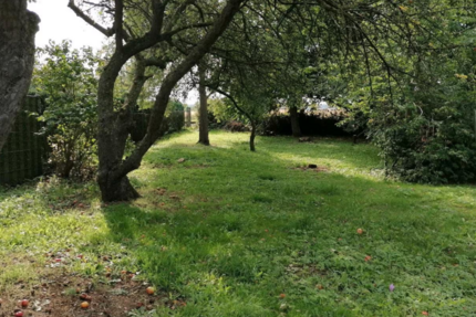 Grundstück zu verkaufen in Kühlungsborn 315.000 € 950 m² zimmer