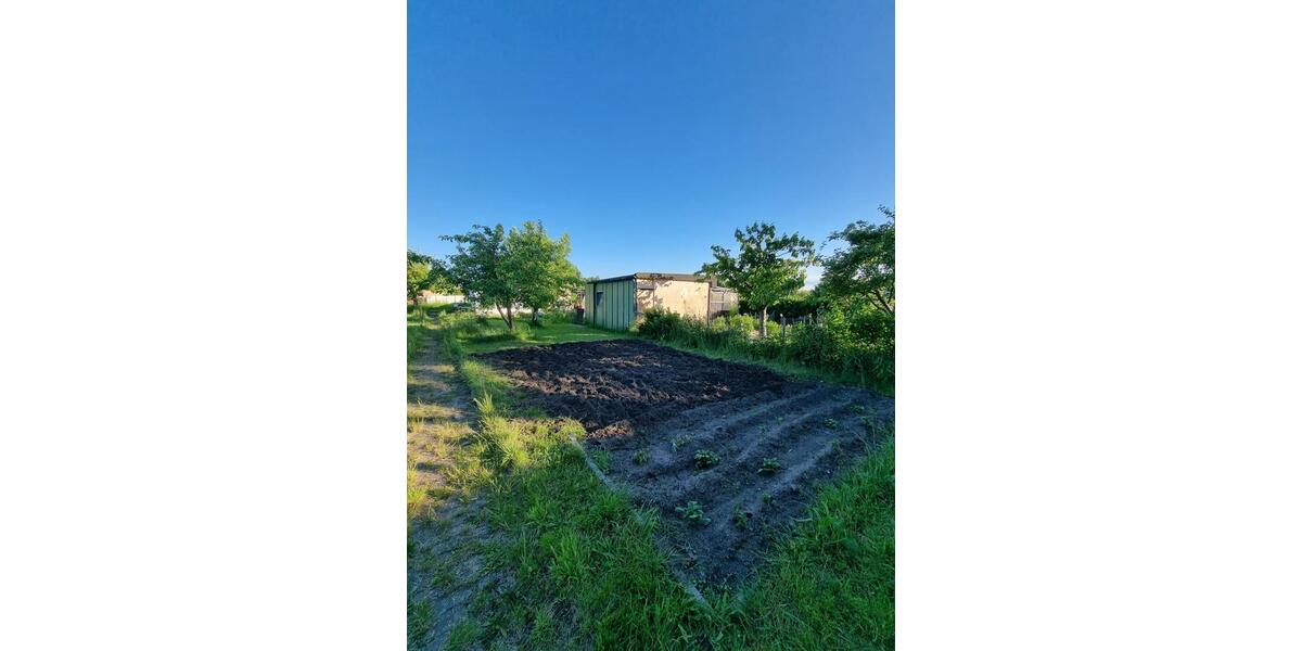 Grundstück Papendorf - 750&euro; | Angebot:25456981