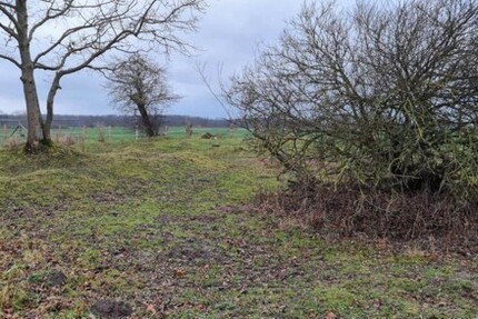 Ca 51400m2 Acker und Weideland nahe Rostock - Grundstück Thulendorf | Angebot:19800536