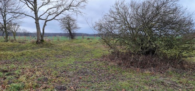 Ca 51400m2 Acker und Weideland nahe Rostock zimmer