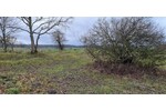 Ca 51400m2 Acker und Weideland nahe Rostock zimmer