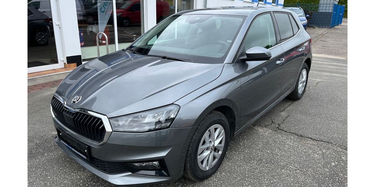 Skoda Fabia 19.162 km 17.990 &euro; Tessin 18195