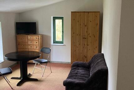 Möblierte 1 Raumwohnung befristet zu vermieten 1 zimmer