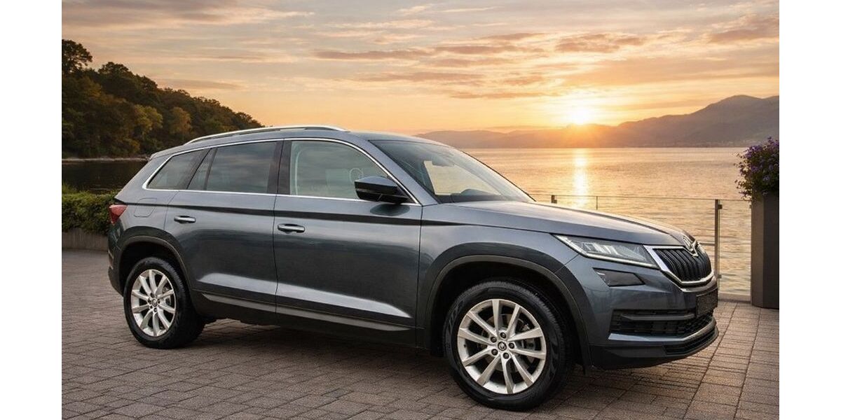 Skoda Kodiaq 188.000 km 21.999 &euro; Rostock 18109