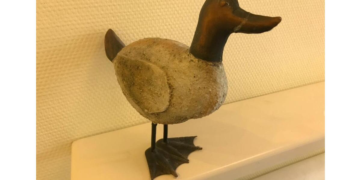 Ferienimmobilie Rostock Hohe Düne - 89&euro; | Angebot:25957012