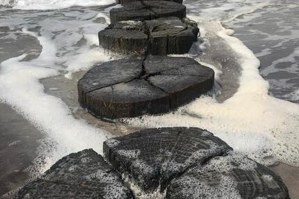 Ferienimmobilie Rostock Groß-Klein - 55&euro; | Angebot:24595962