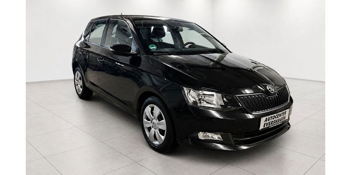 Skoda Fabia 91.500 km 8.470 &euro; Rostock 18106