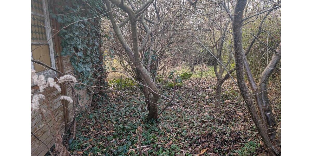 Grundstück Schwaan - 2.300&euro; | Angebot:24149260