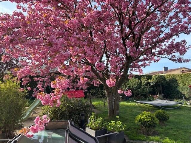 Einfamilienhaus Laage - 4 Zimmer, 135 m&sup2;, 450.000&euro; | Angebot:25670064