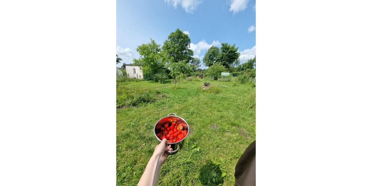 Grundstück Papendorf - 750&euro; | Angebot:25456981