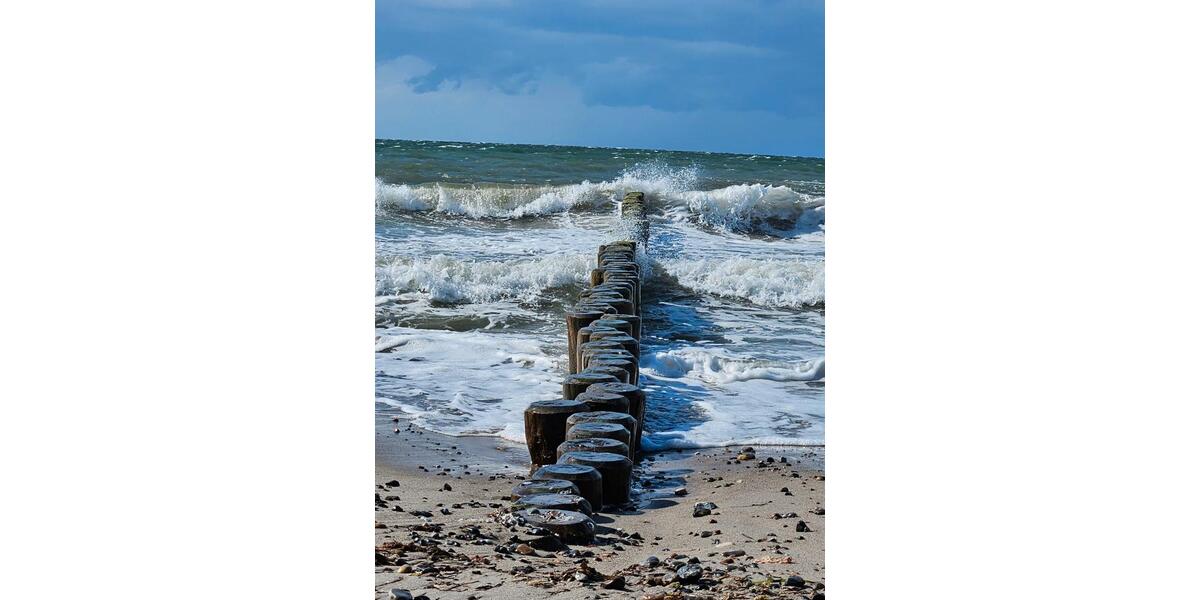 Ferienimmobilie Admannshagen-Bargeshagen Bargeshagen - 65&euro; | Angebot:26036332