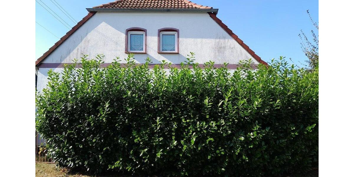 Doppelhaushälfte Schwaan - 5 Zimmer, 138 m&sup2;, 119.000&euro; | Angebot:26777798