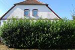 Doppelhaushälfte Schwaan - 5 Zimmer, 138 m&sup2;, 119.000&euro; | Angebot:26777798