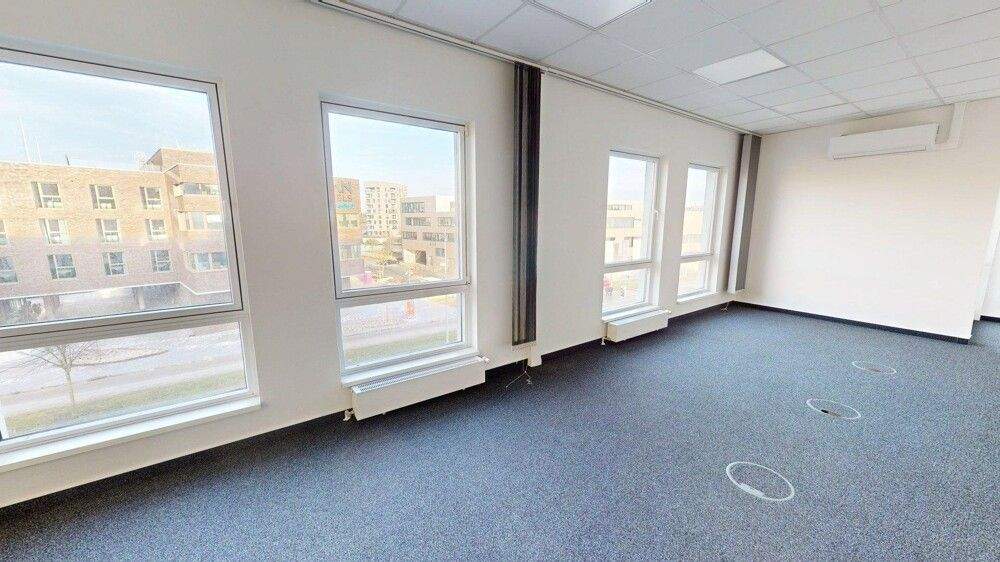 Gewerbeobjekt Rostock Stadtmitte - 2.050&euro; | Angebot:24558204