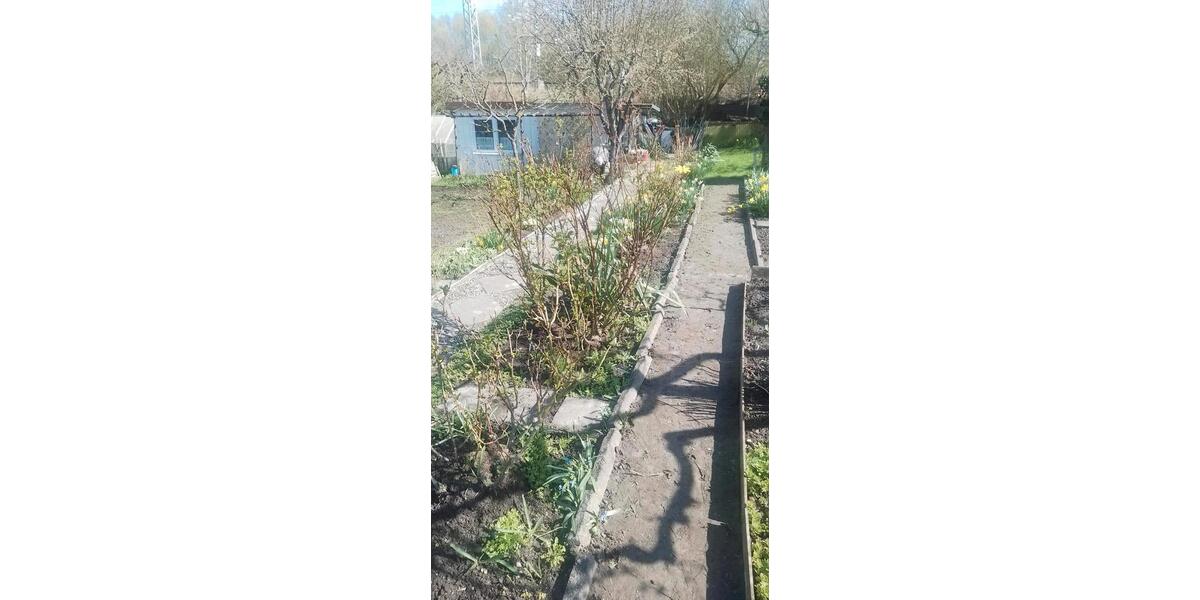 Grundstück Papendorf - 1.000&euro; | Angebot:26539597
